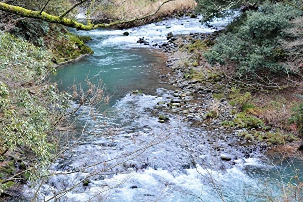 山中温泉での住み込みリゾートバイト体験談 口コミ公開 リゾバしろ